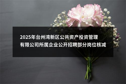 2025年台州湾新区公共资产投资管理有限公司所属企业公开招聘部分岗位核减或取消公告 图片