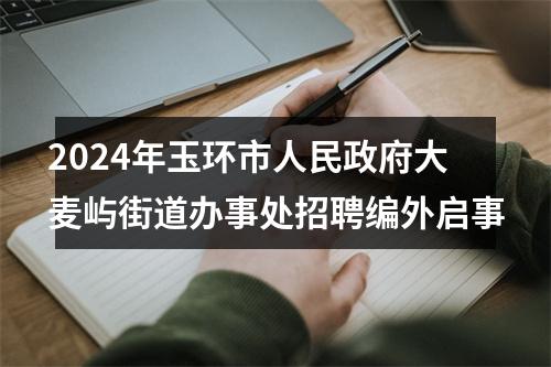 2024年玉环市人民政府大麦屿街道办事处招聘编外启事 图片