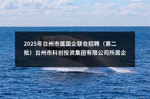 2025年台州市属国企联合招聘（第二批）台州市科创投资集团有限公司所属企业招聘11人公告 图片