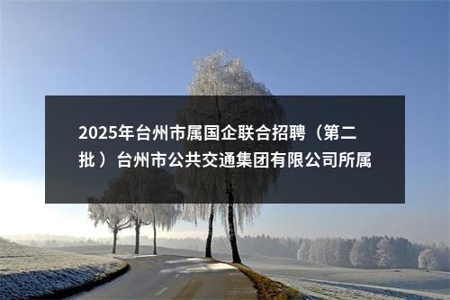 2025年台州市属国企联合招聘（第二批 ）台州市公共交通集团有限公司所属企业招聘2人公告 图片