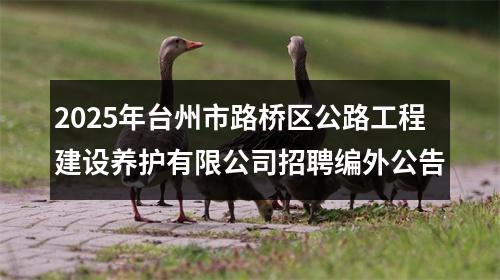 2025年台州市路桥区公路工程建设养护有限公司招聘编外公告 图片