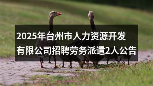 2025年台州市人力资源开发有限公司招聘劳务派遣2人公告 图片