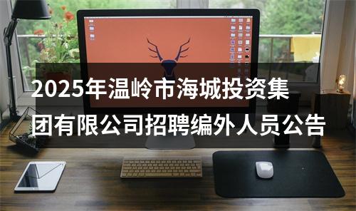 2025年温岭市海城投资集团有限公司招聘编外人员公告 图片